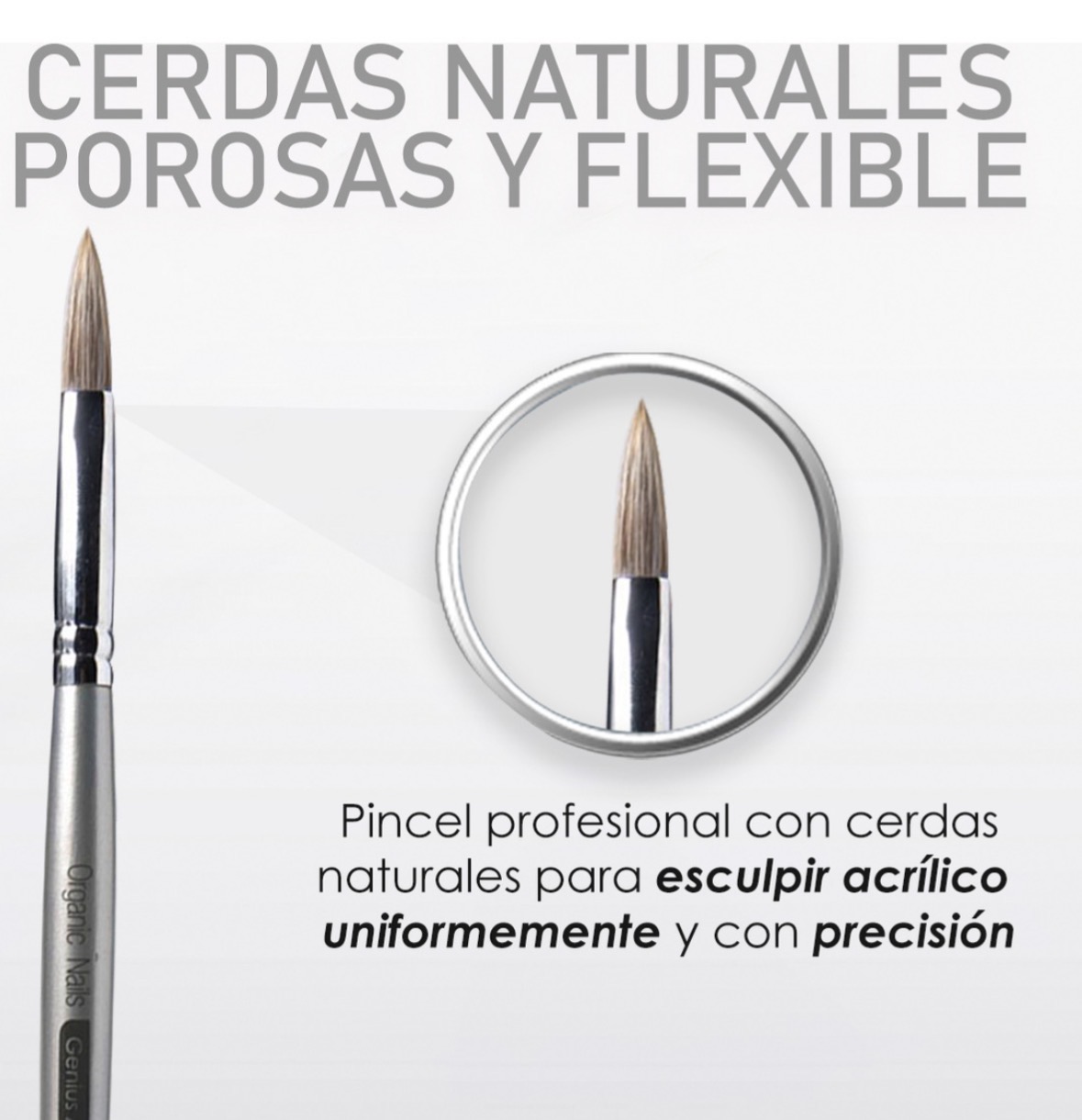 Pincel kolinsky genius acrilyc n #6 Organic Nails