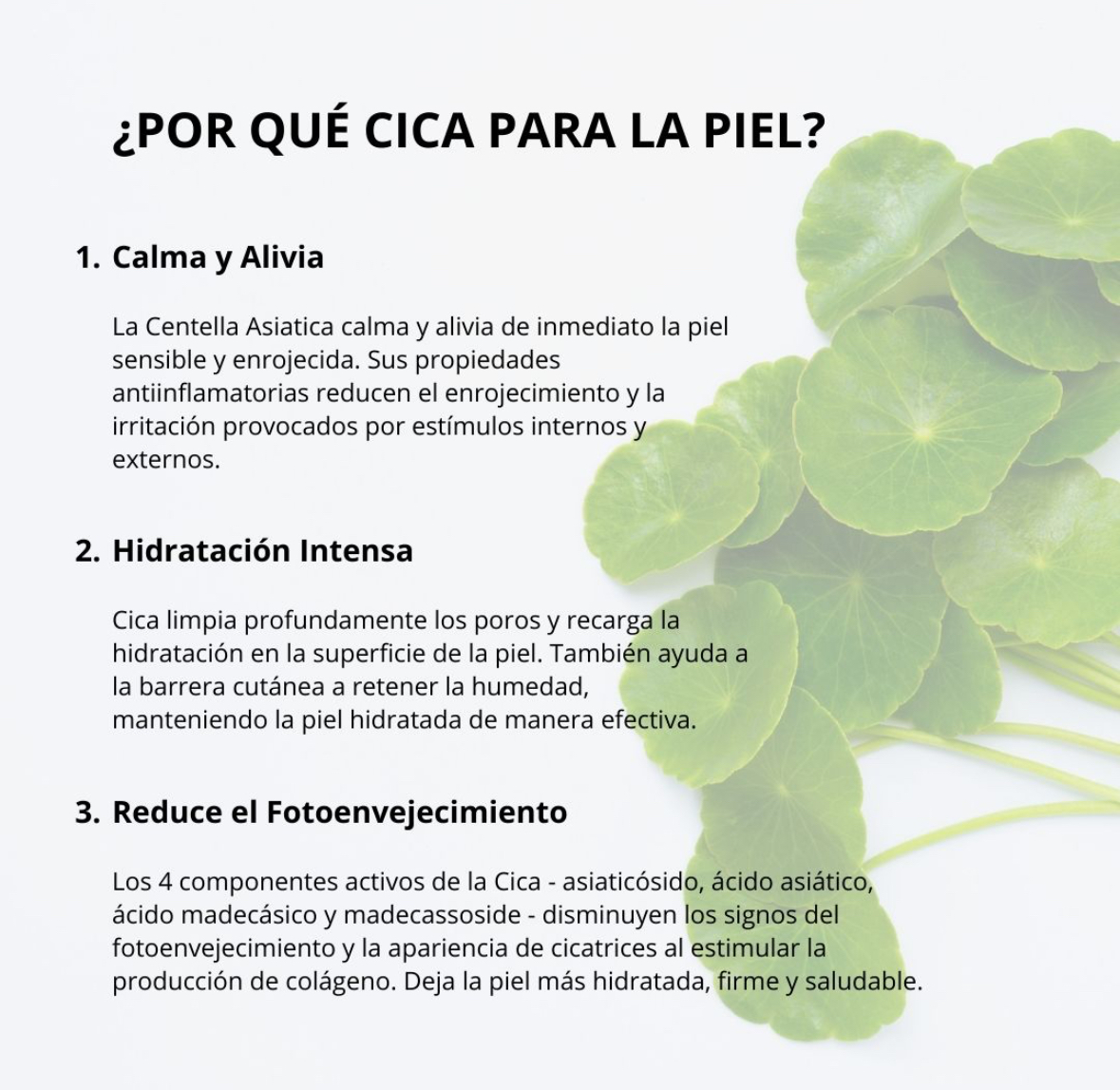 Mixsoon Esencia “Soondy Centella Asiatica Essence” 100ml Mixsoon - Imagen 3