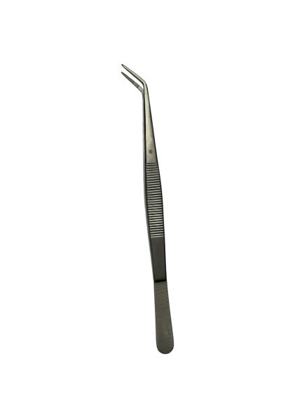 Pinza Anatomica curva 14cm (podologia)